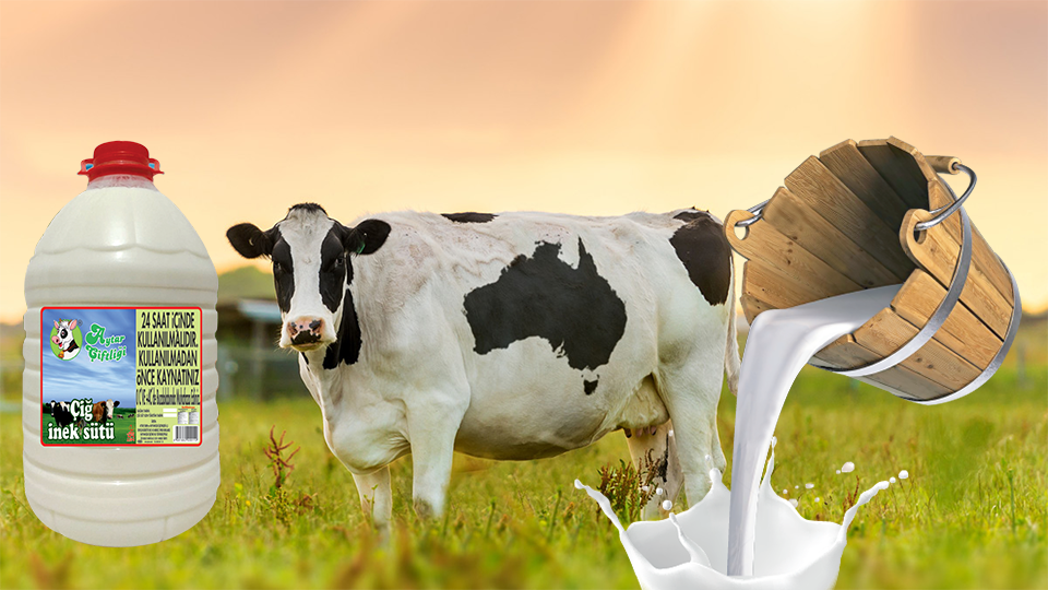 Çiğ İnek Sütü – Aytar Çiftliği